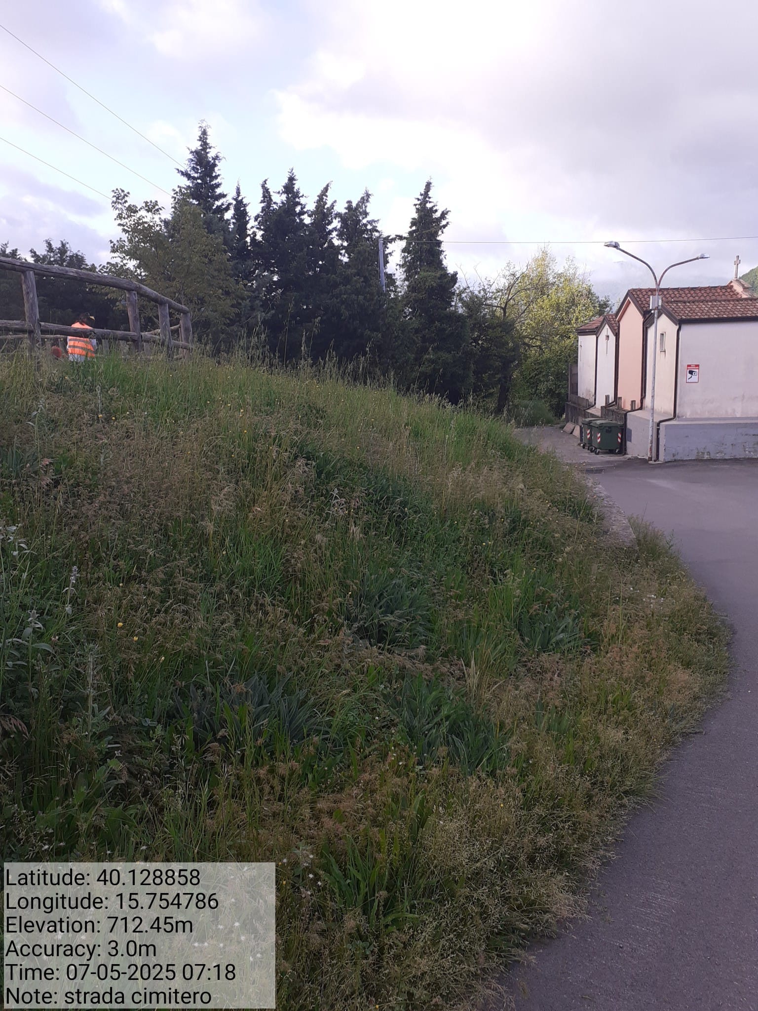 Galleria Fotografica Immagine