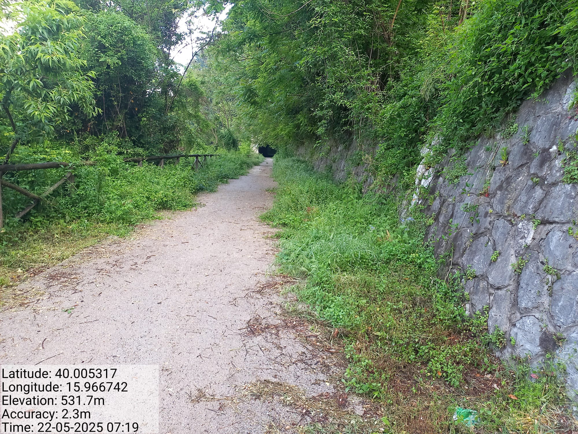 Galleria Fotografica Immagine