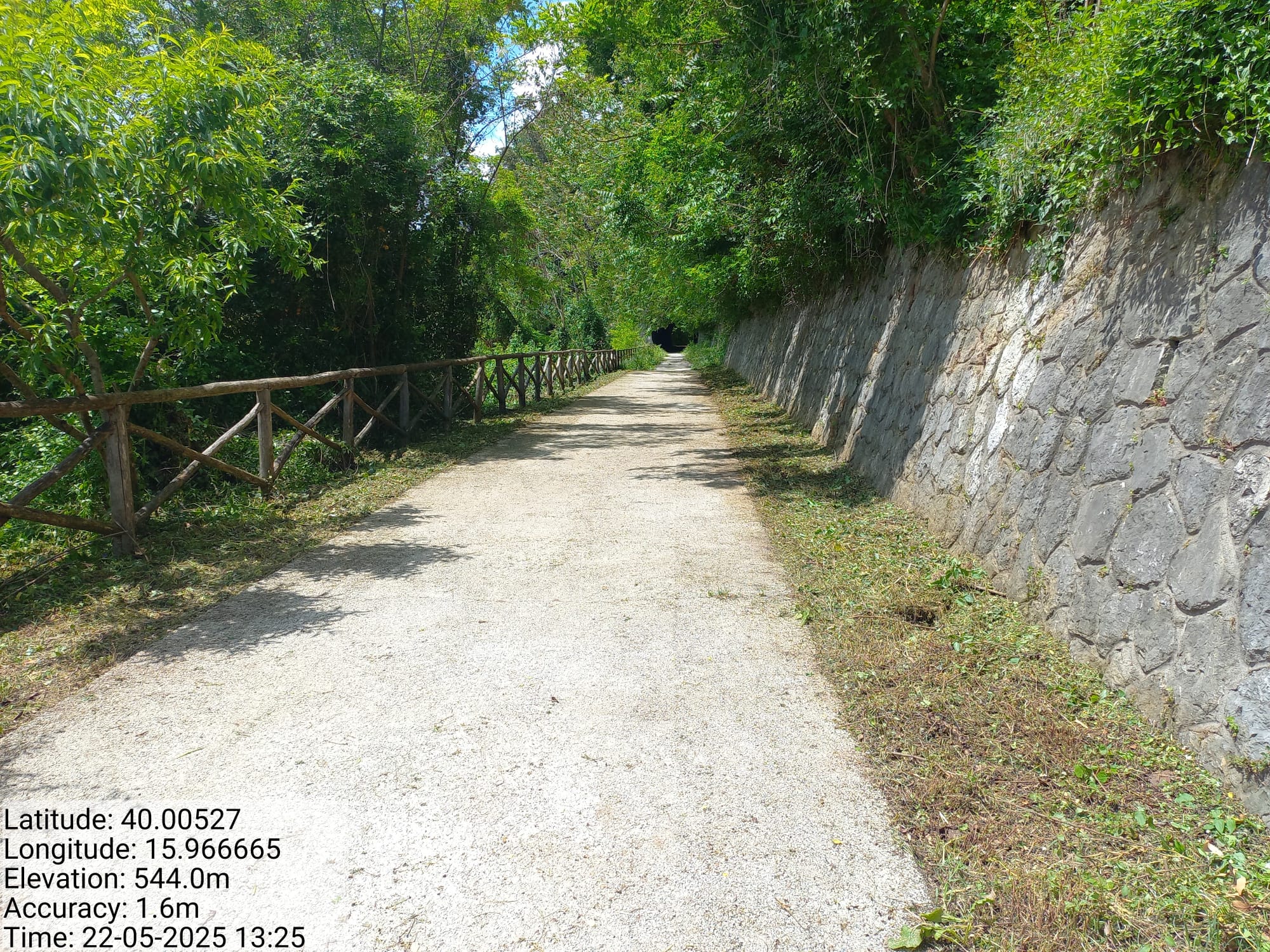 Galleria Fotografica Immagine