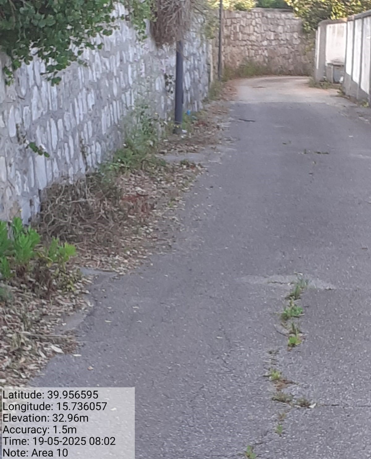 Galleria Fotografica Immagine