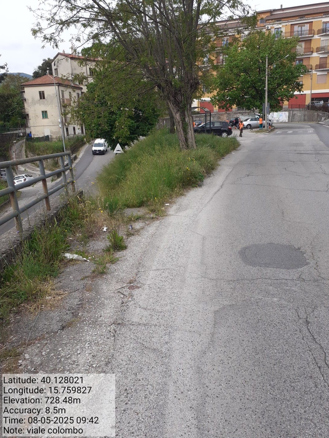 Galleria Fotografica Immagine