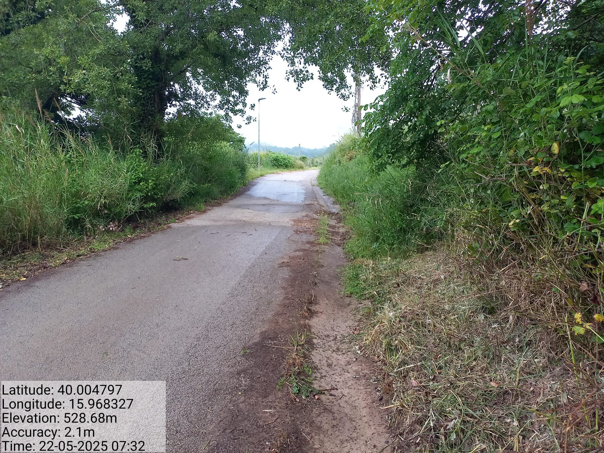 Galleria Fotografica Immagine