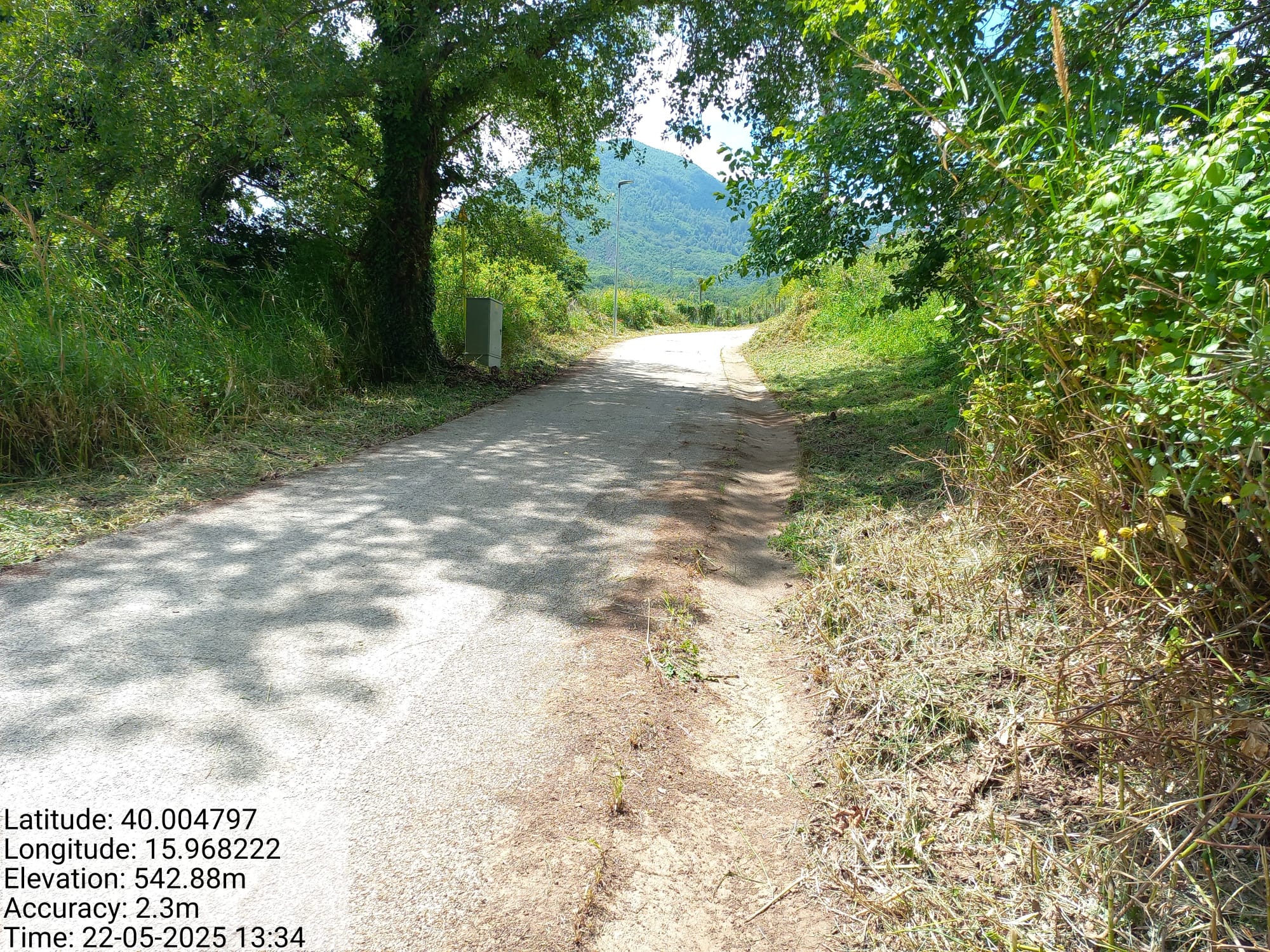 Galleria Fotografica Immagine