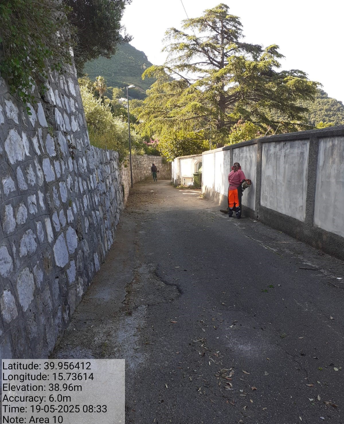 Galleria Fotografica Immagine