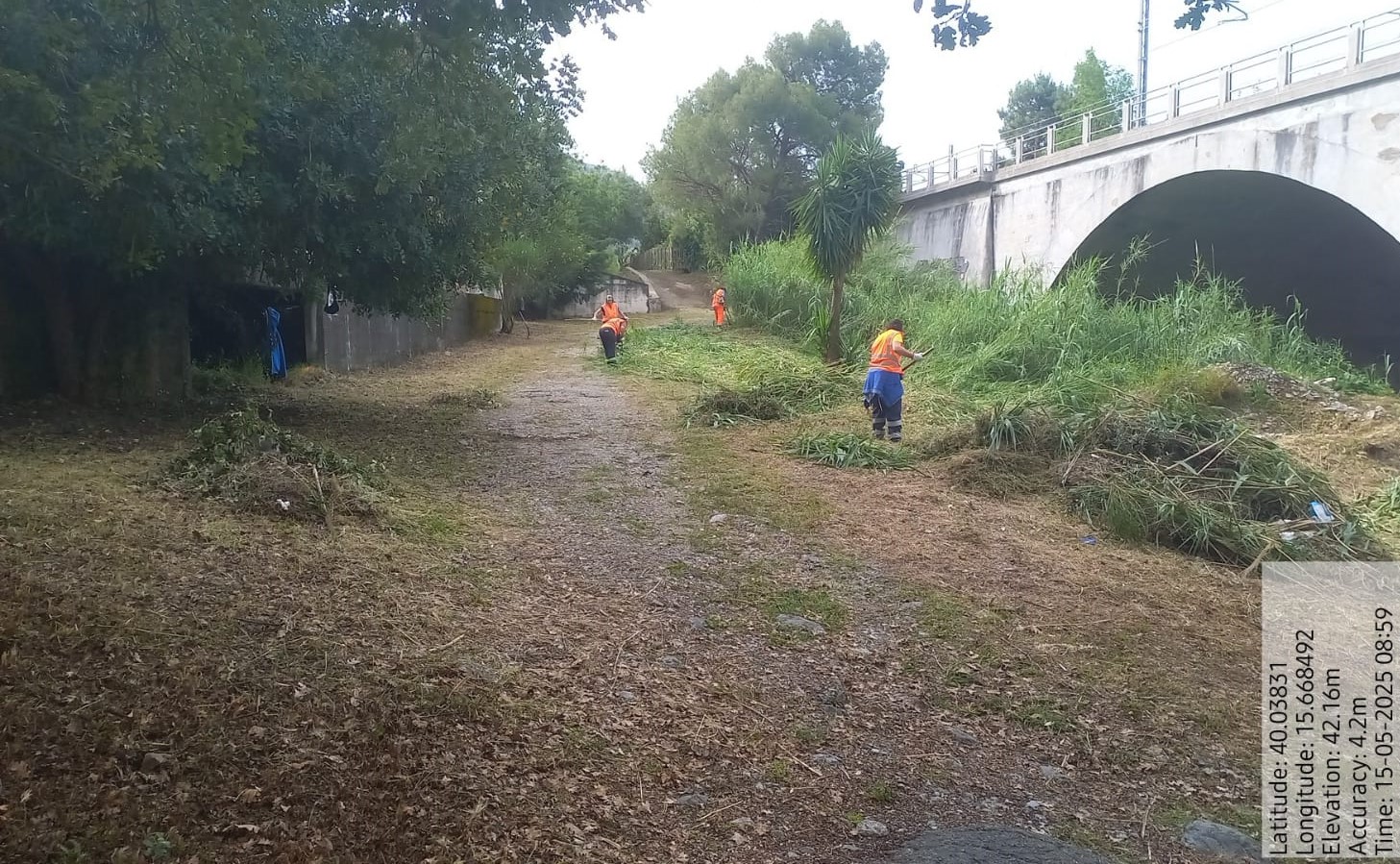 Galleria Fotografica Immagine