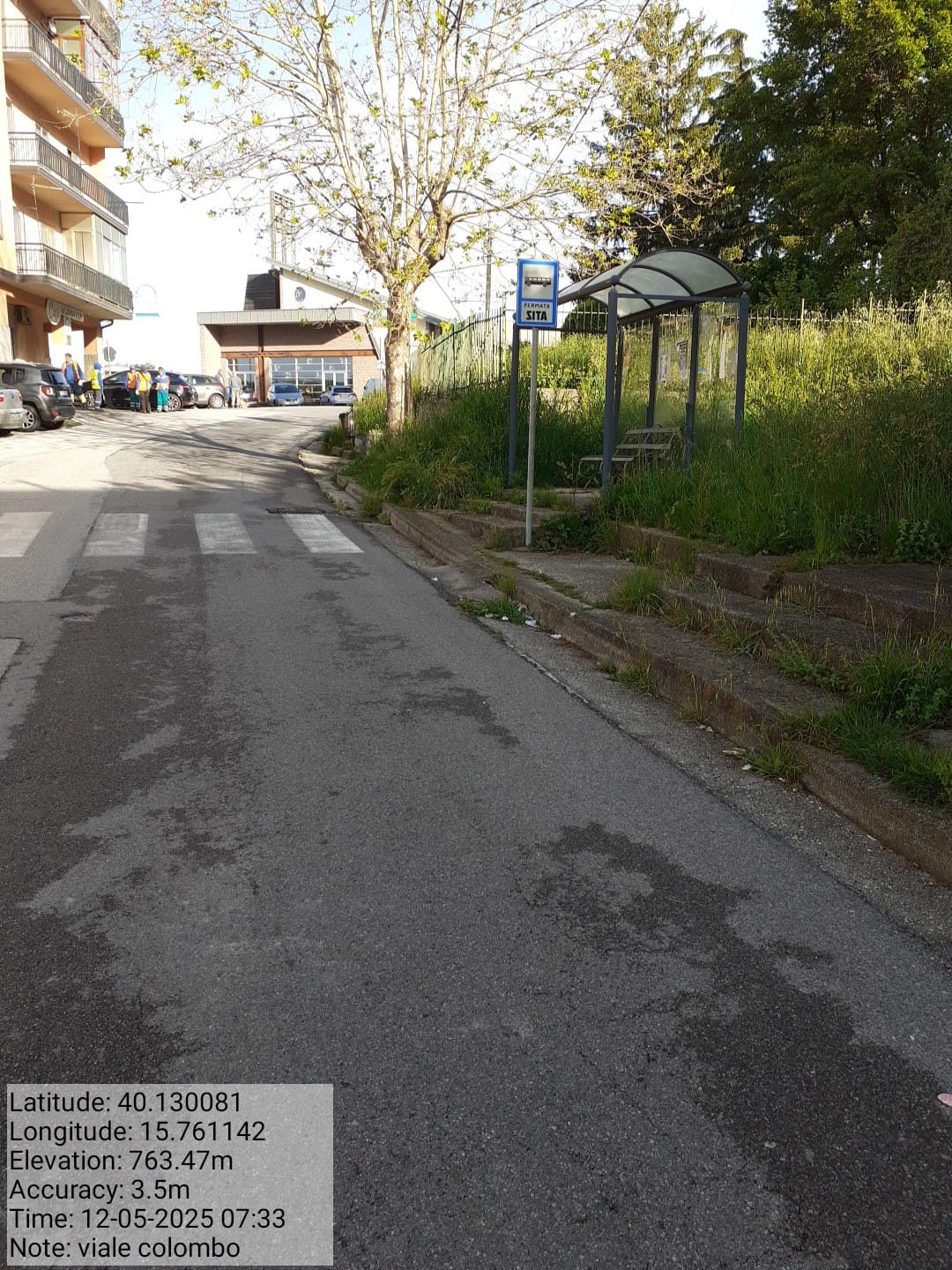 Galleria Fotografica Immagine