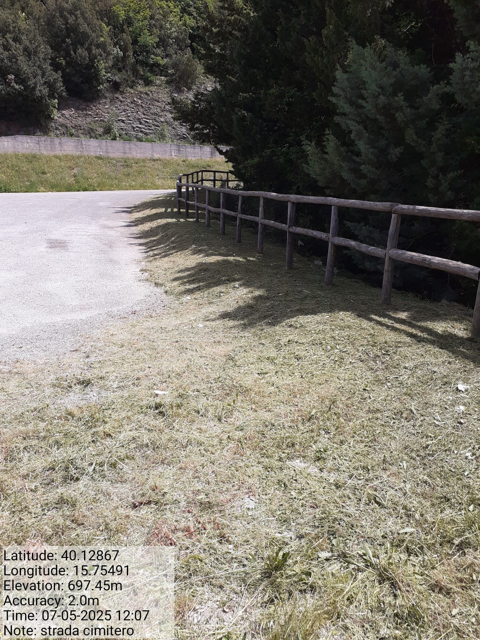 Galleria Fotografica Immagine