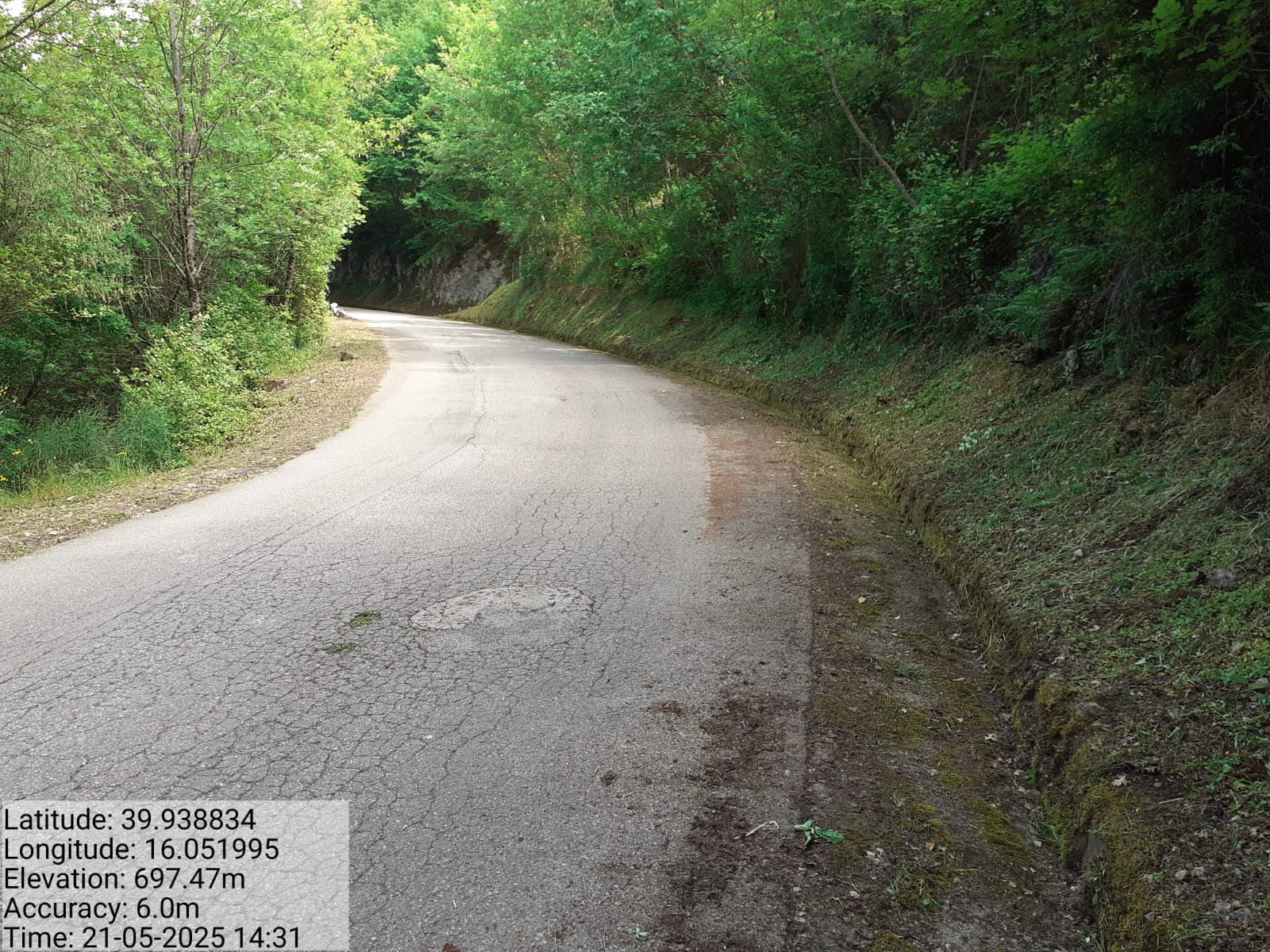 Galleria Fotografica Immagine