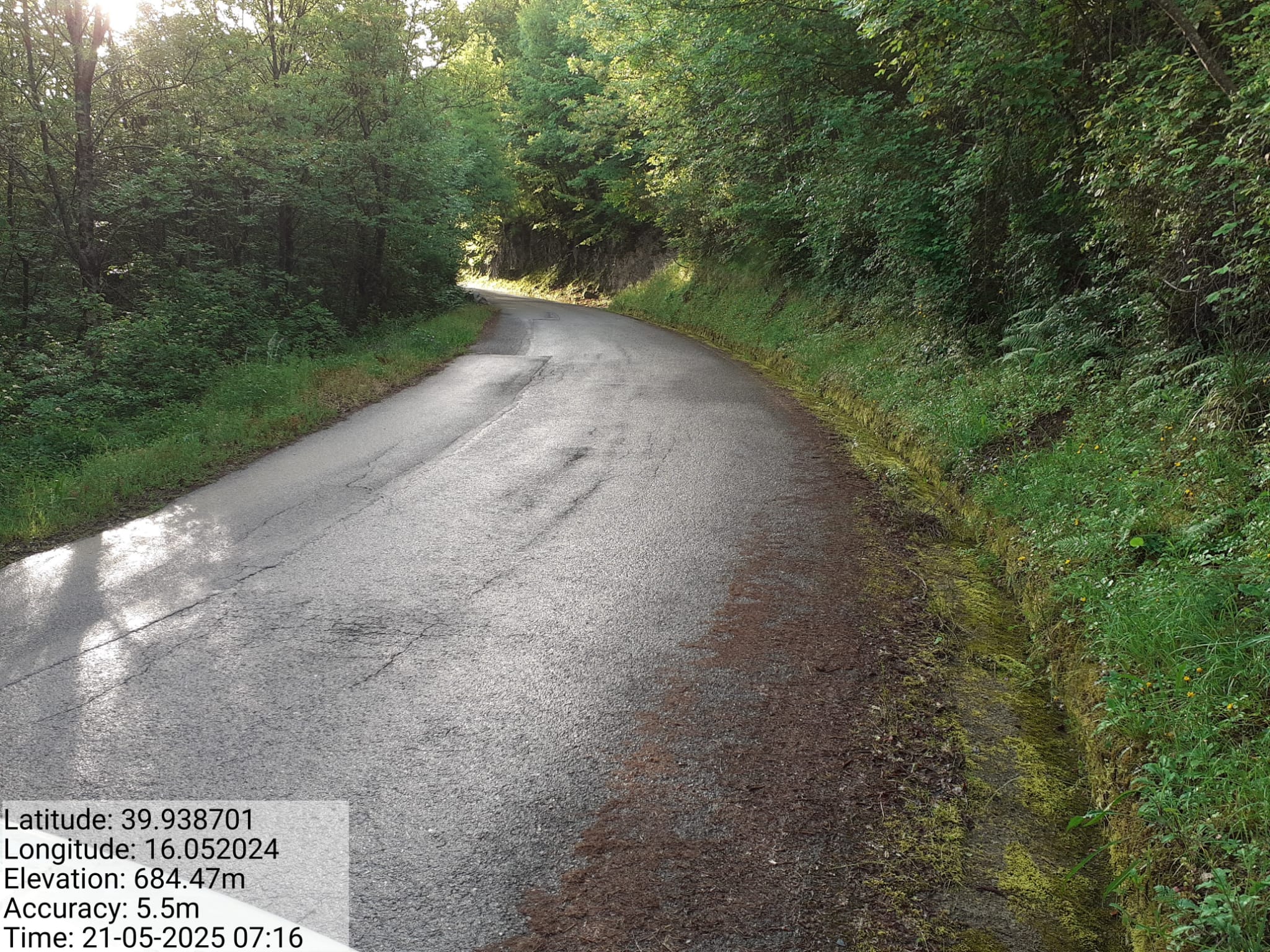 Galleria Fotografica Immagine