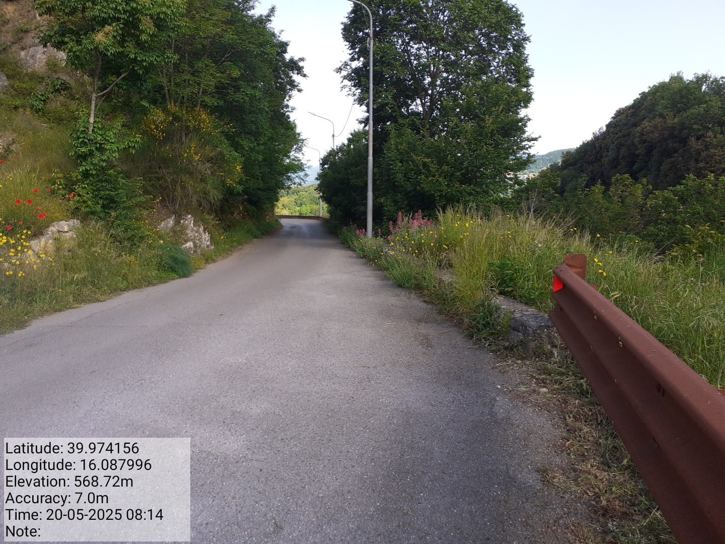 Galleria Fotografica Immagine