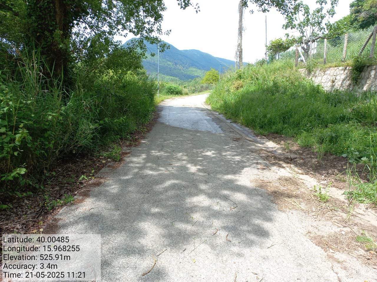 Galleria Fotografica Immagine