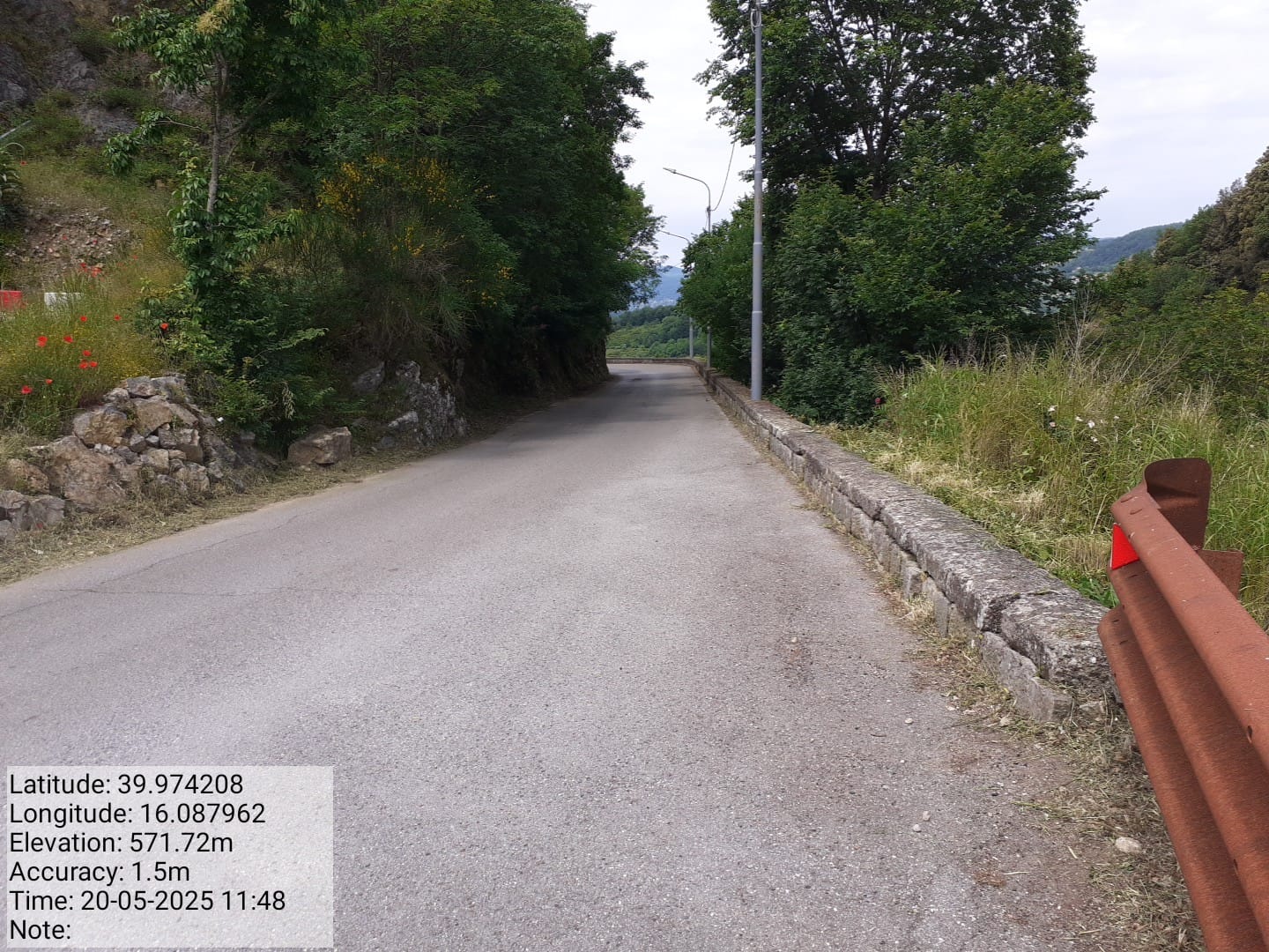 Galleria Fotografica Immagine