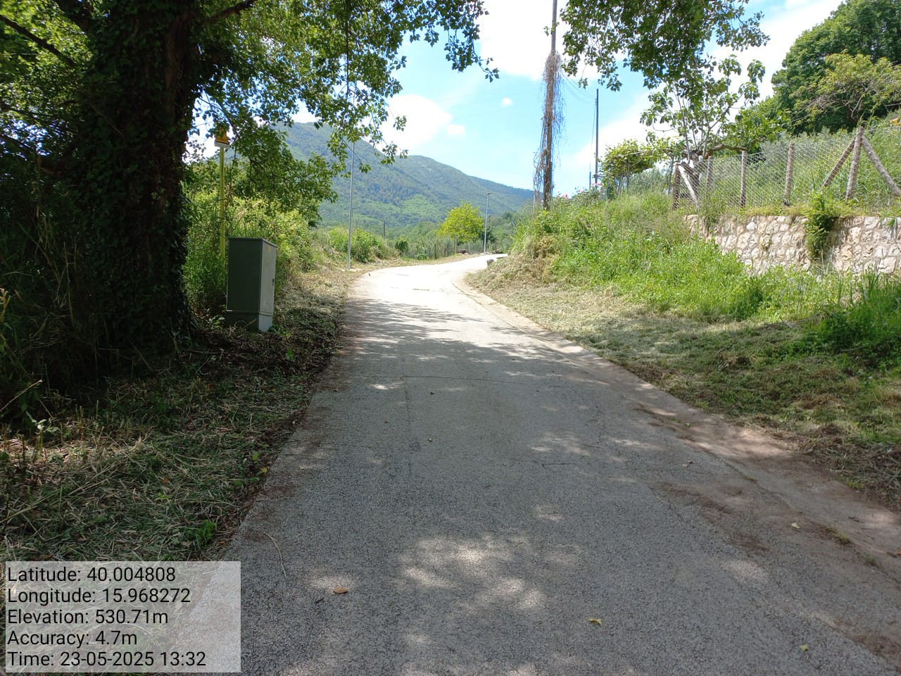 Galleria Fotografica Immagine