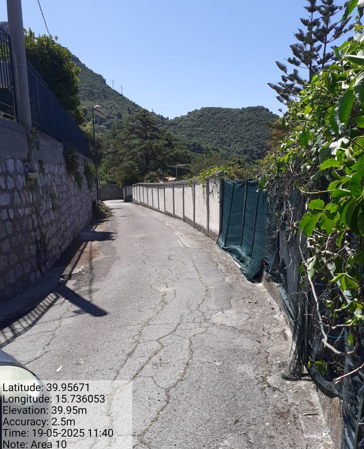 Galleria Fotografica Immagine