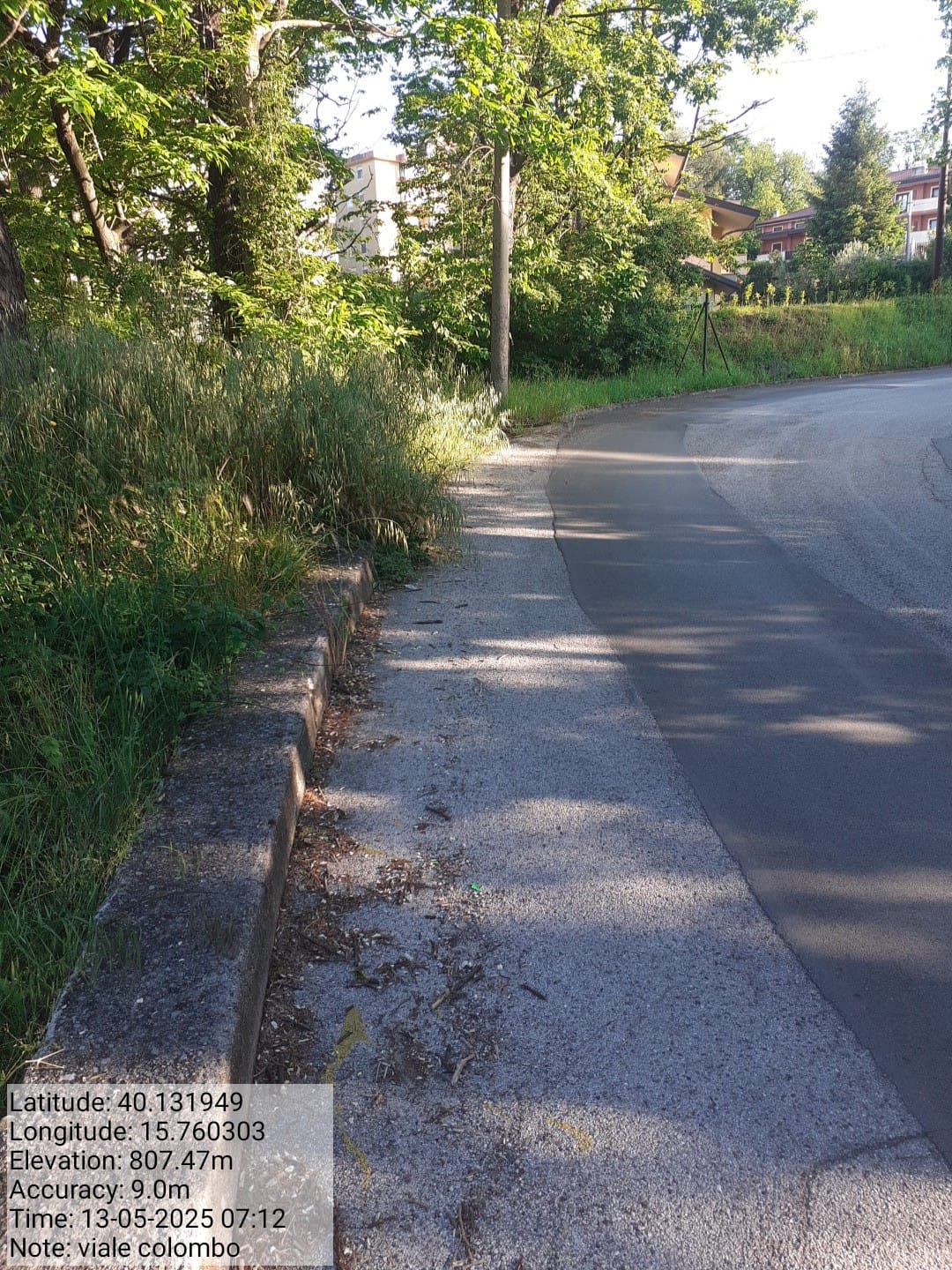 Galleria Fotografica Immagine