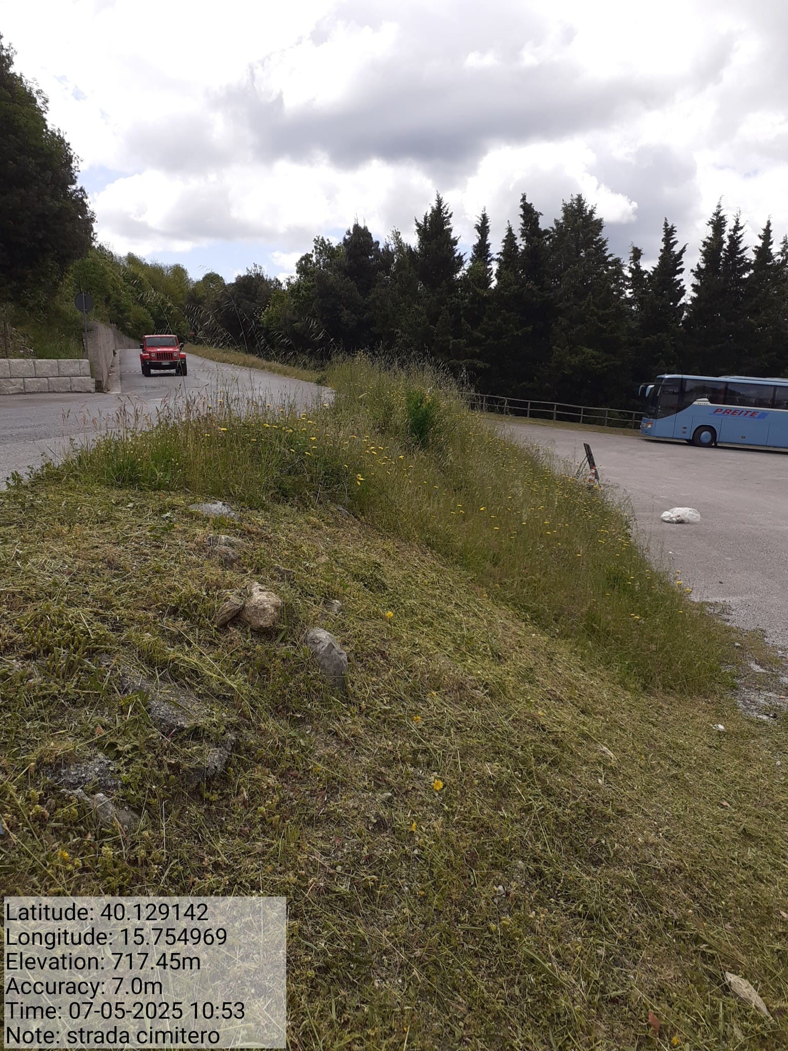 Galleria Fotografica Immagine