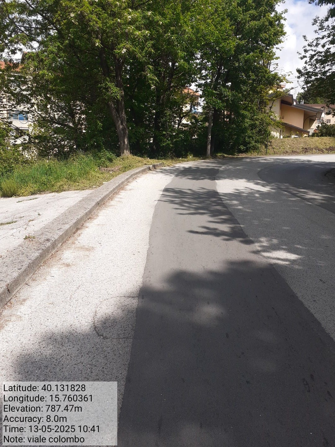 Galleria Fotografica Immagine