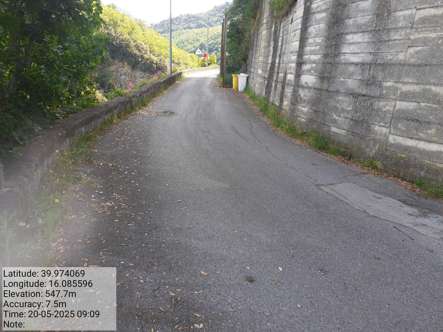 Galleria Fotografica Immagine