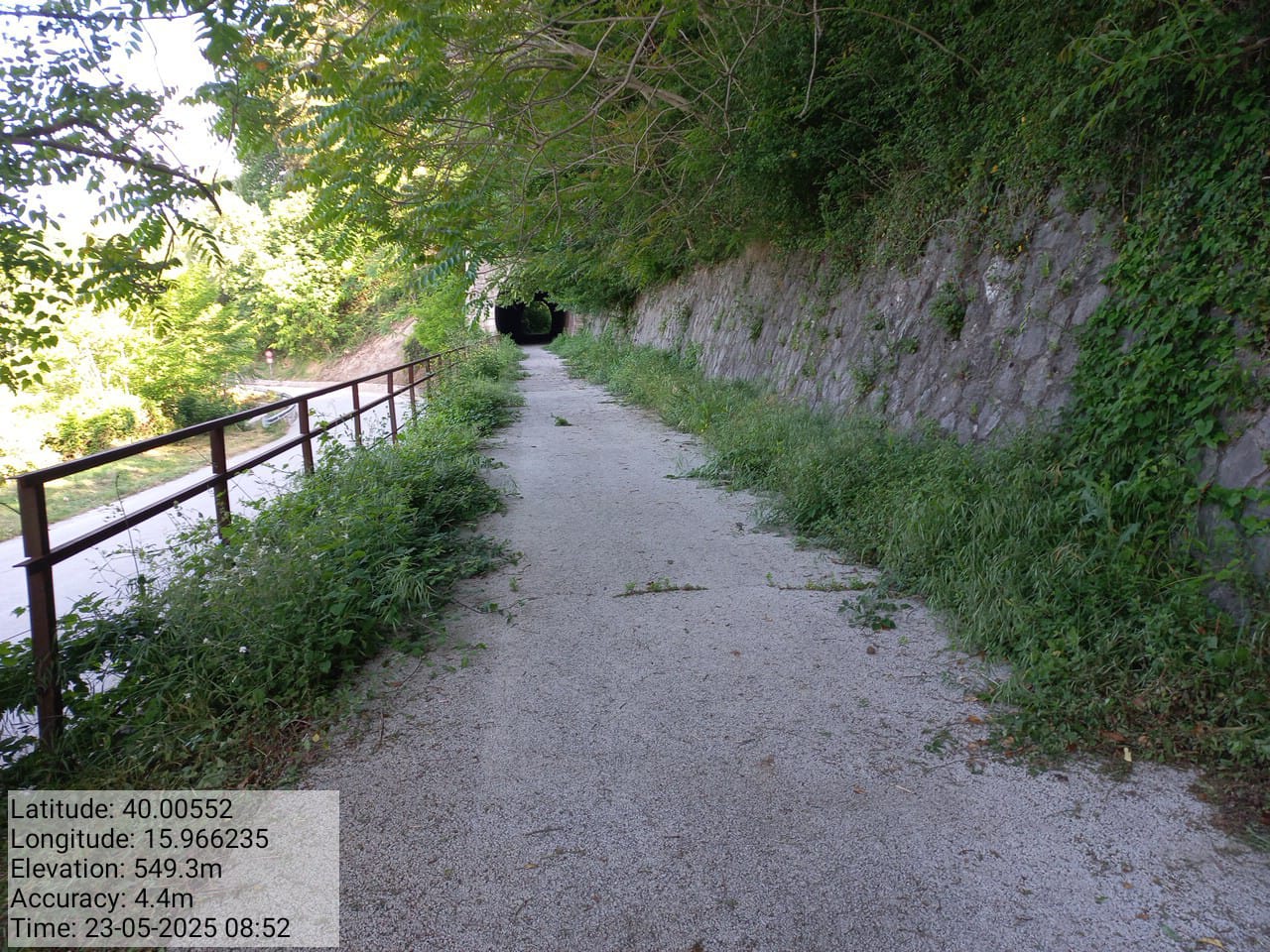 Galleria Fotografica Immagine