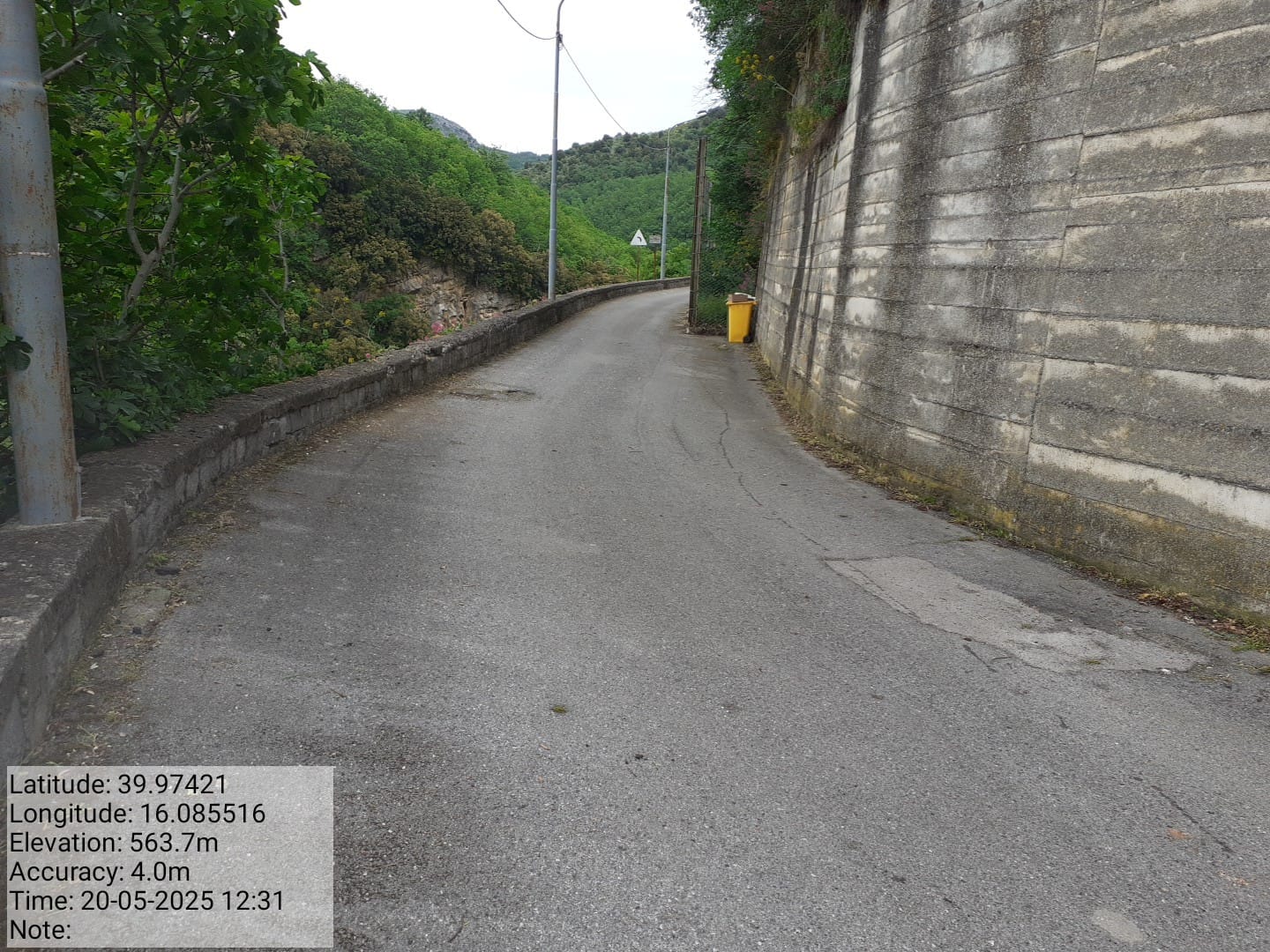 Galleria Fotografica Immagine