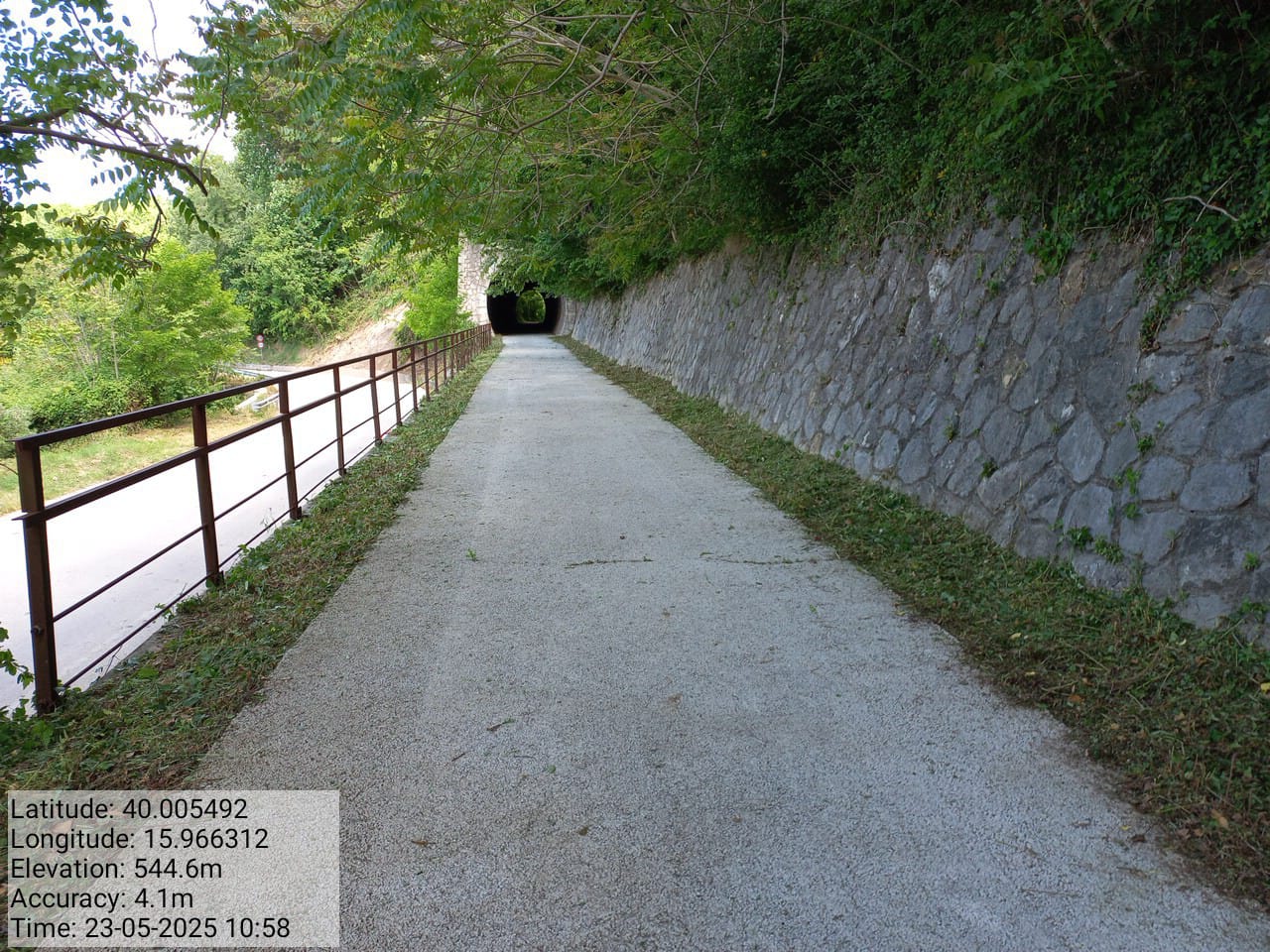 Galleria Fotografica Immagine