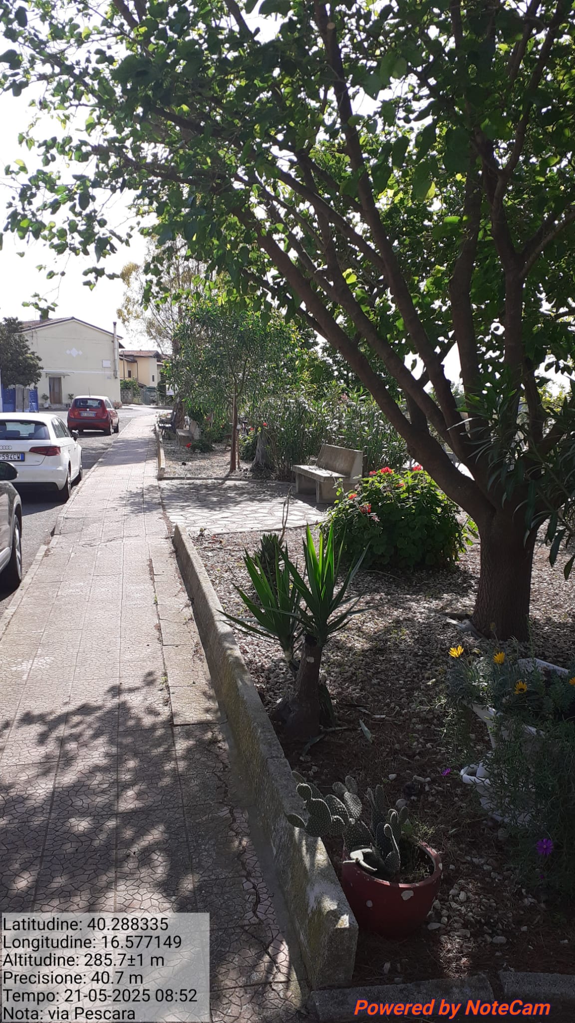 Galleria Fotografica Immagine