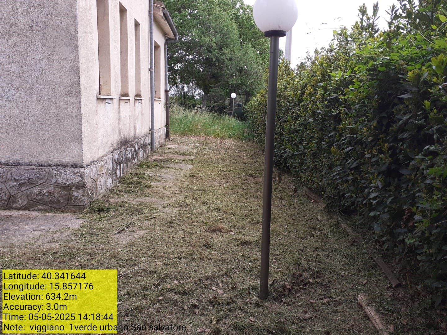 Galleria Fotografica Immagine