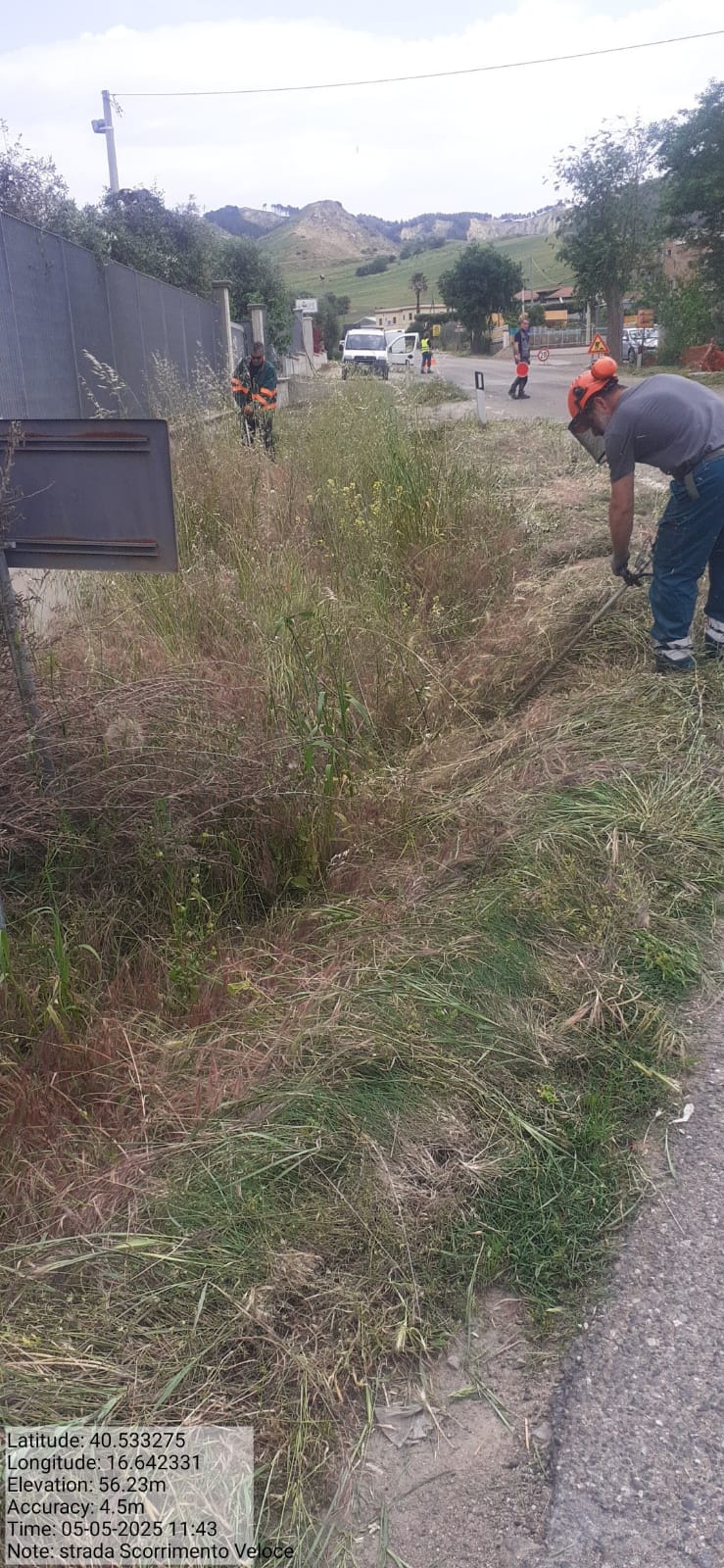 Galleria Fotografica Immagine