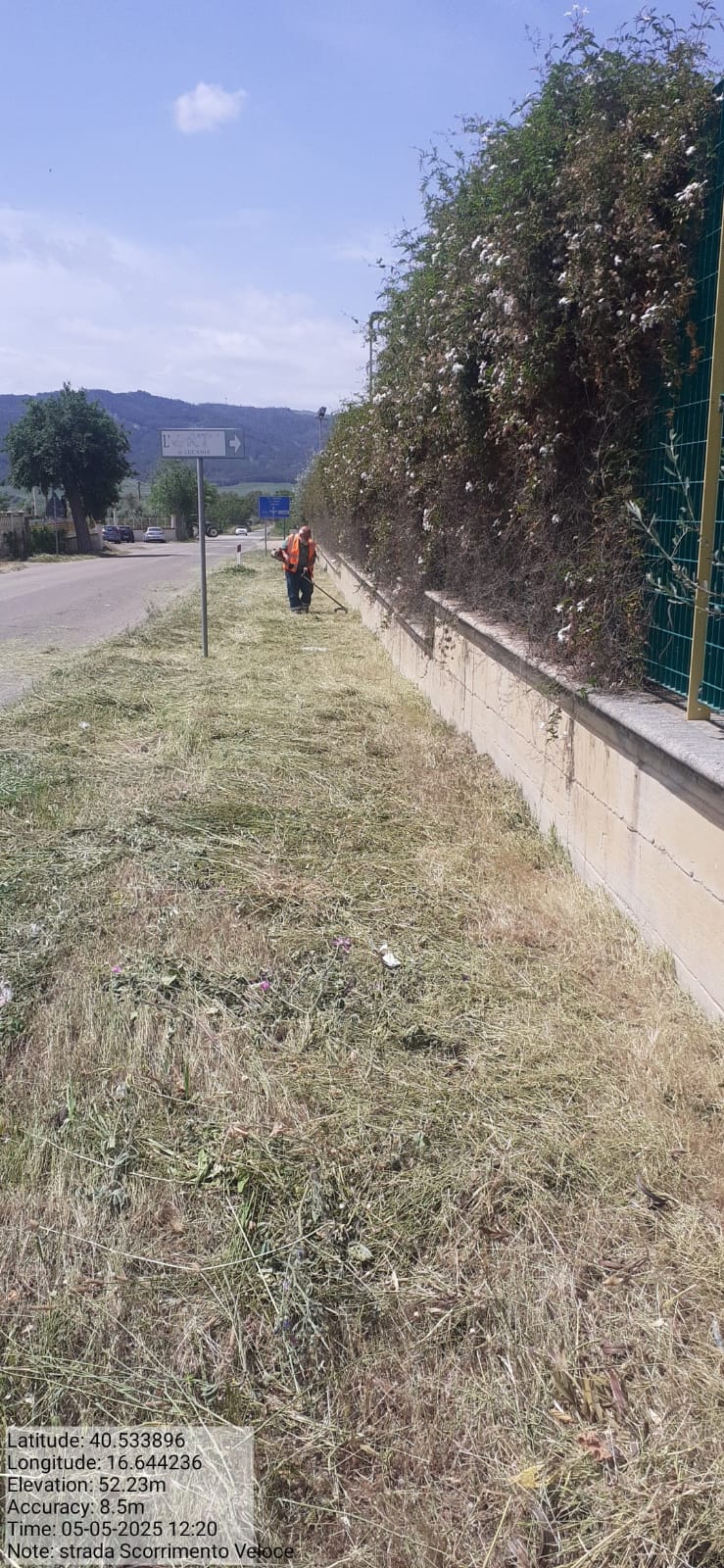 Galleria Fotografica Immagine