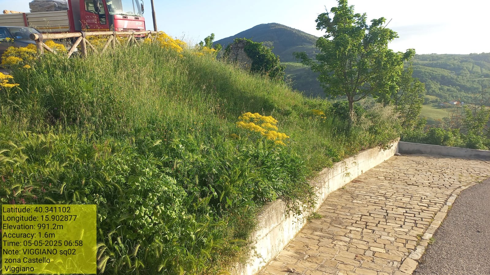 Galleria Fotografica Immagine