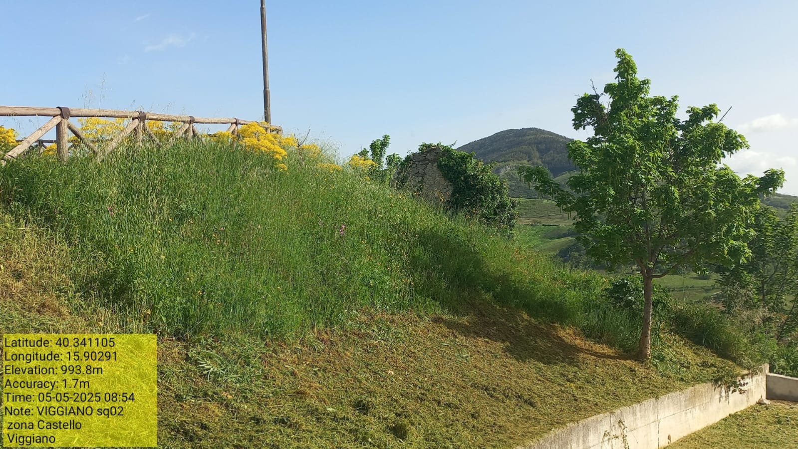 Galleria Fotografica Immagine