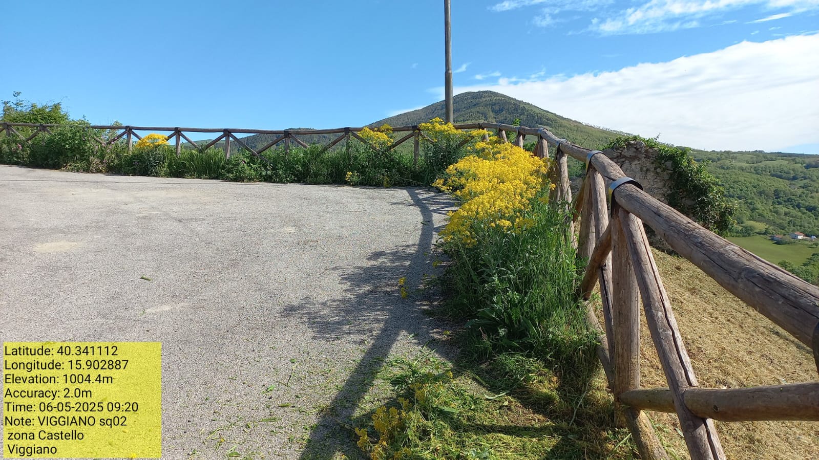 Galleria Fotografica Immagine