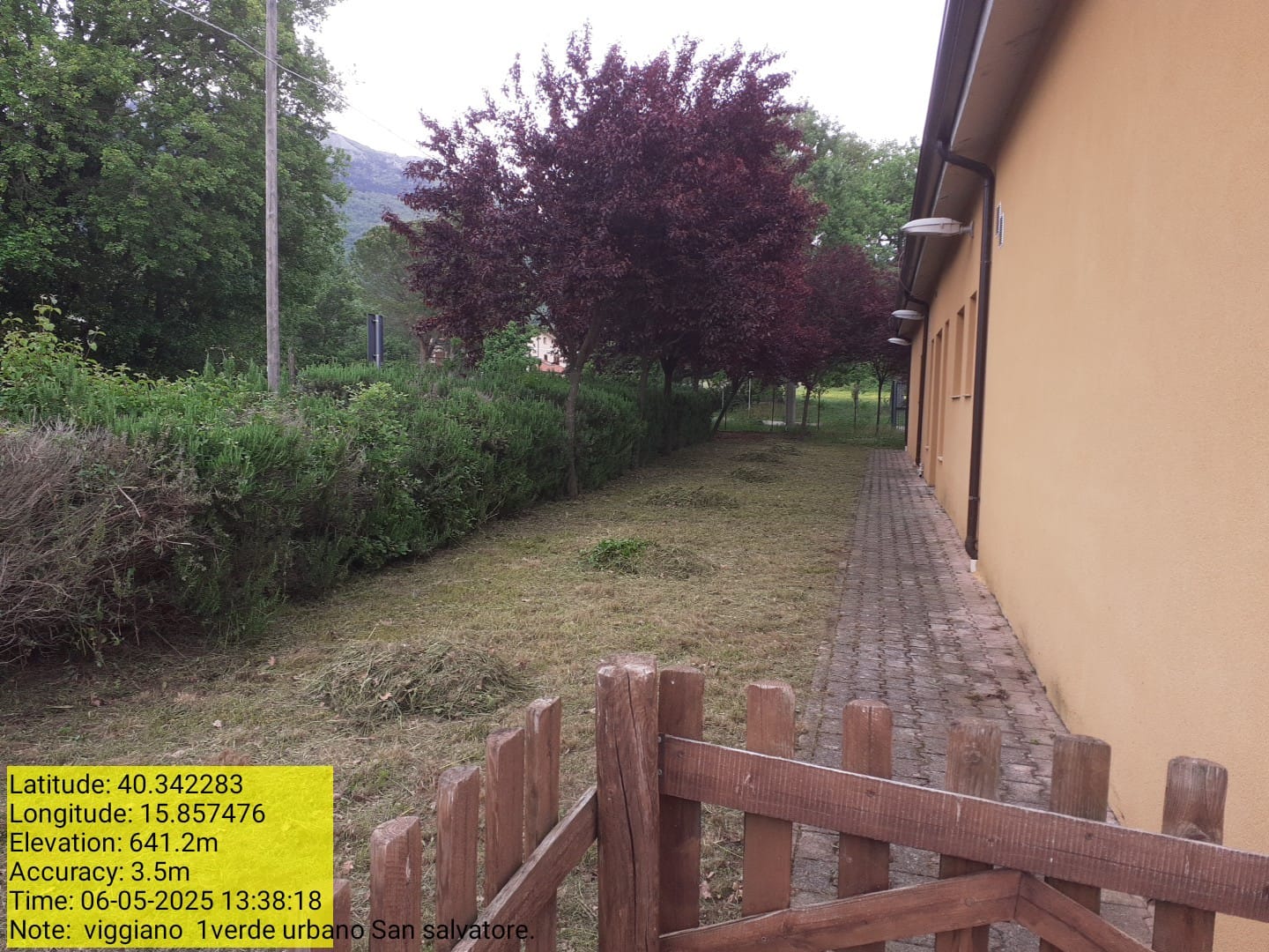 Galleria Fotografica Immagine