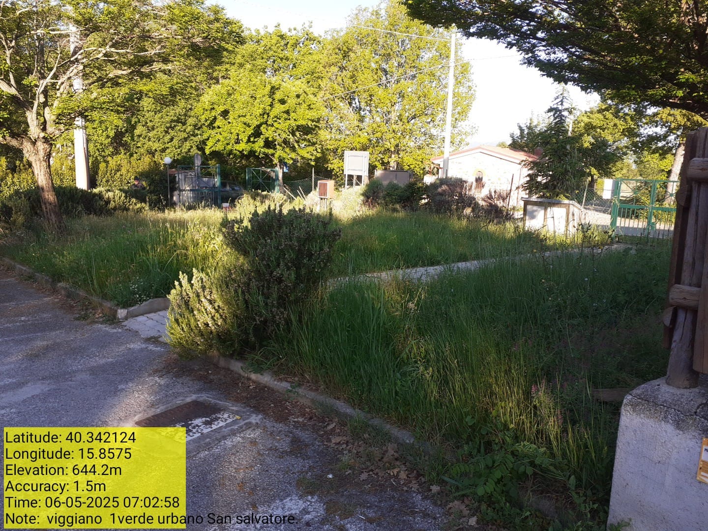 Galleria Fotografica Immagine