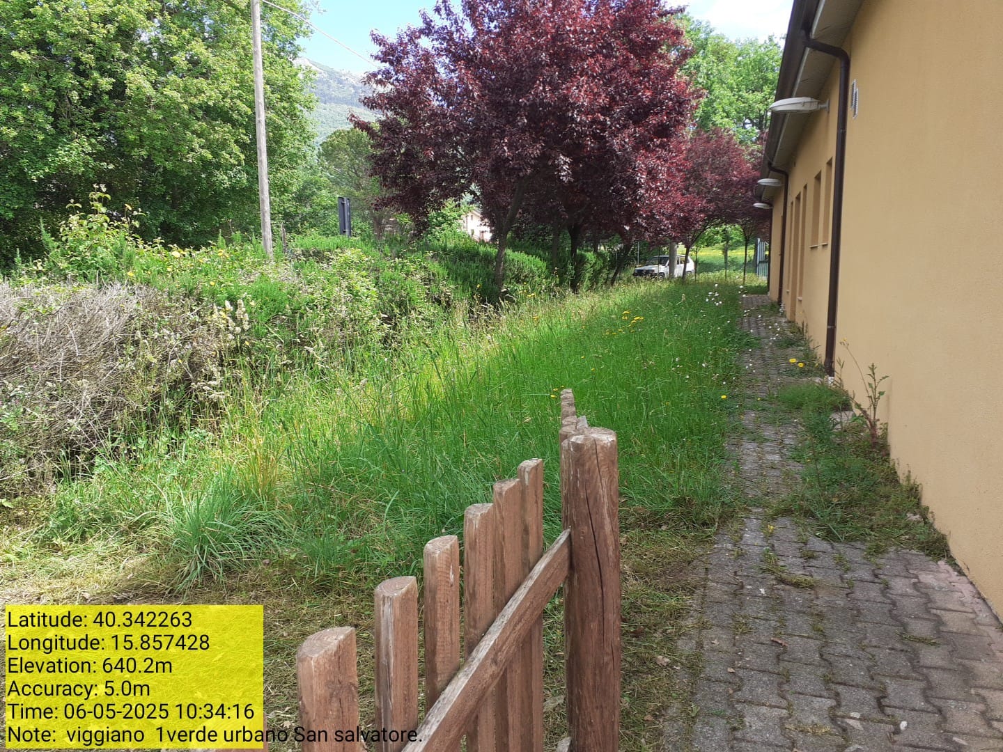 Galleria Fotografica Immagine