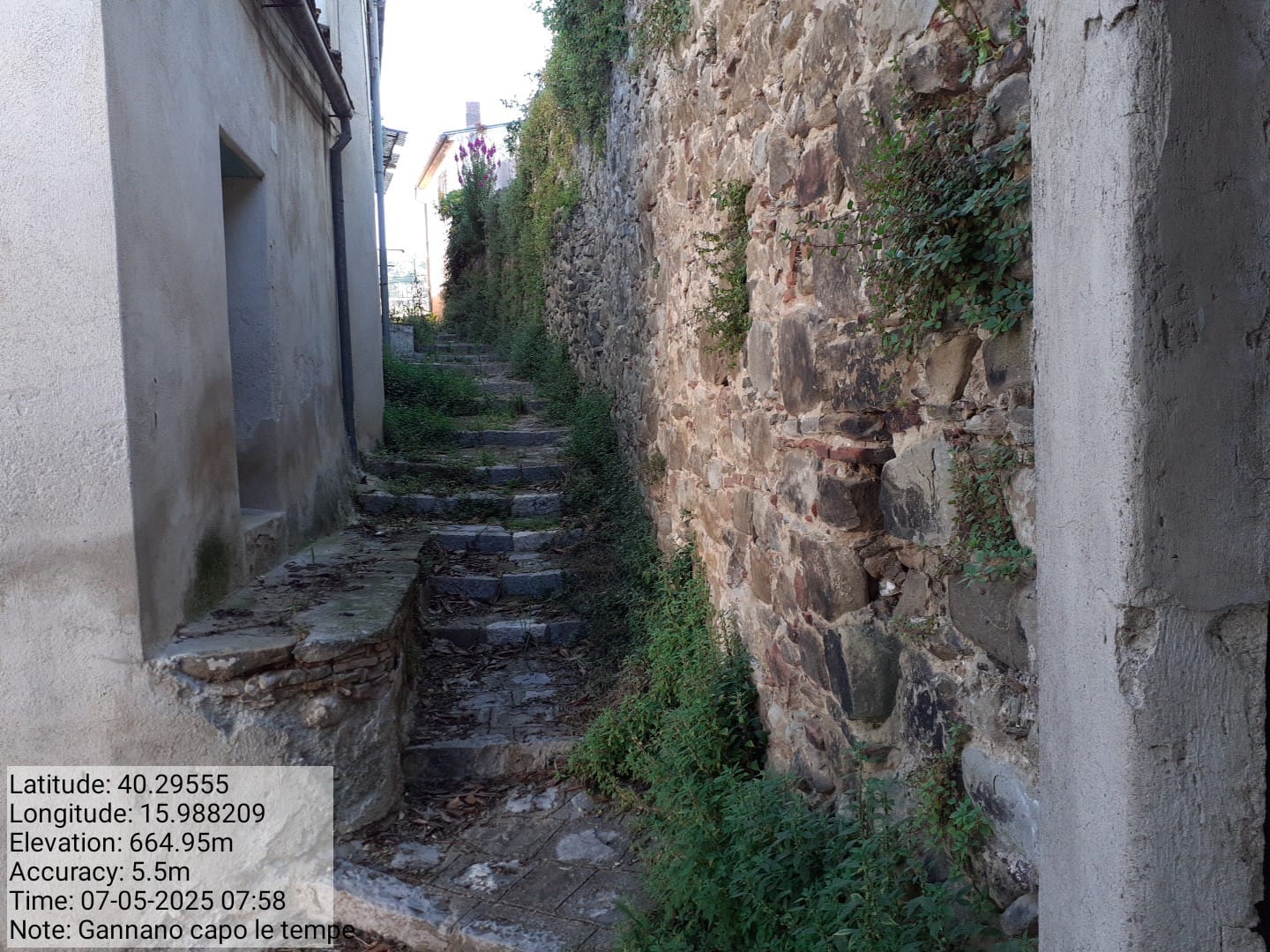 Galleria Fotografica Immagine