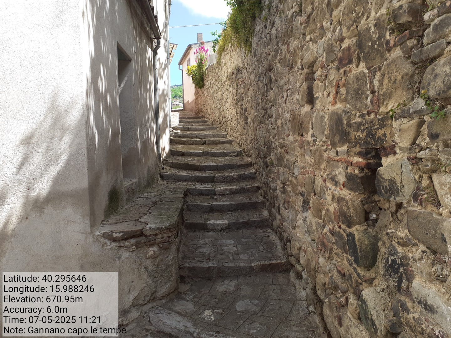 Galleria Fotografica Immagine