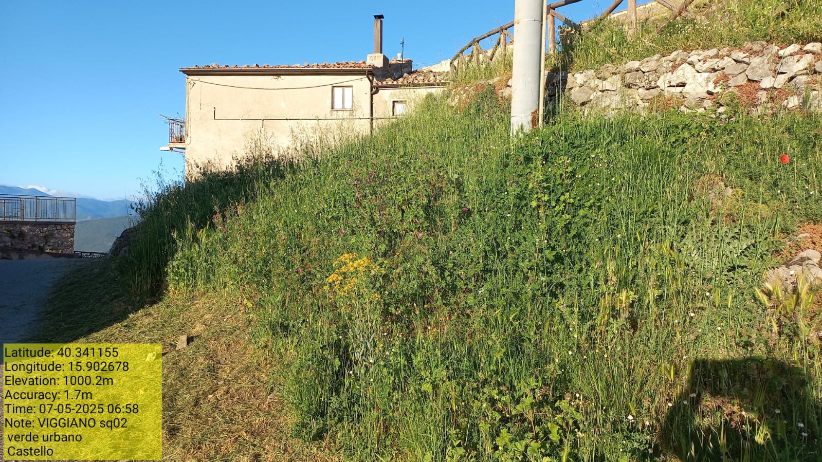 Galleria Fotografica Immagine