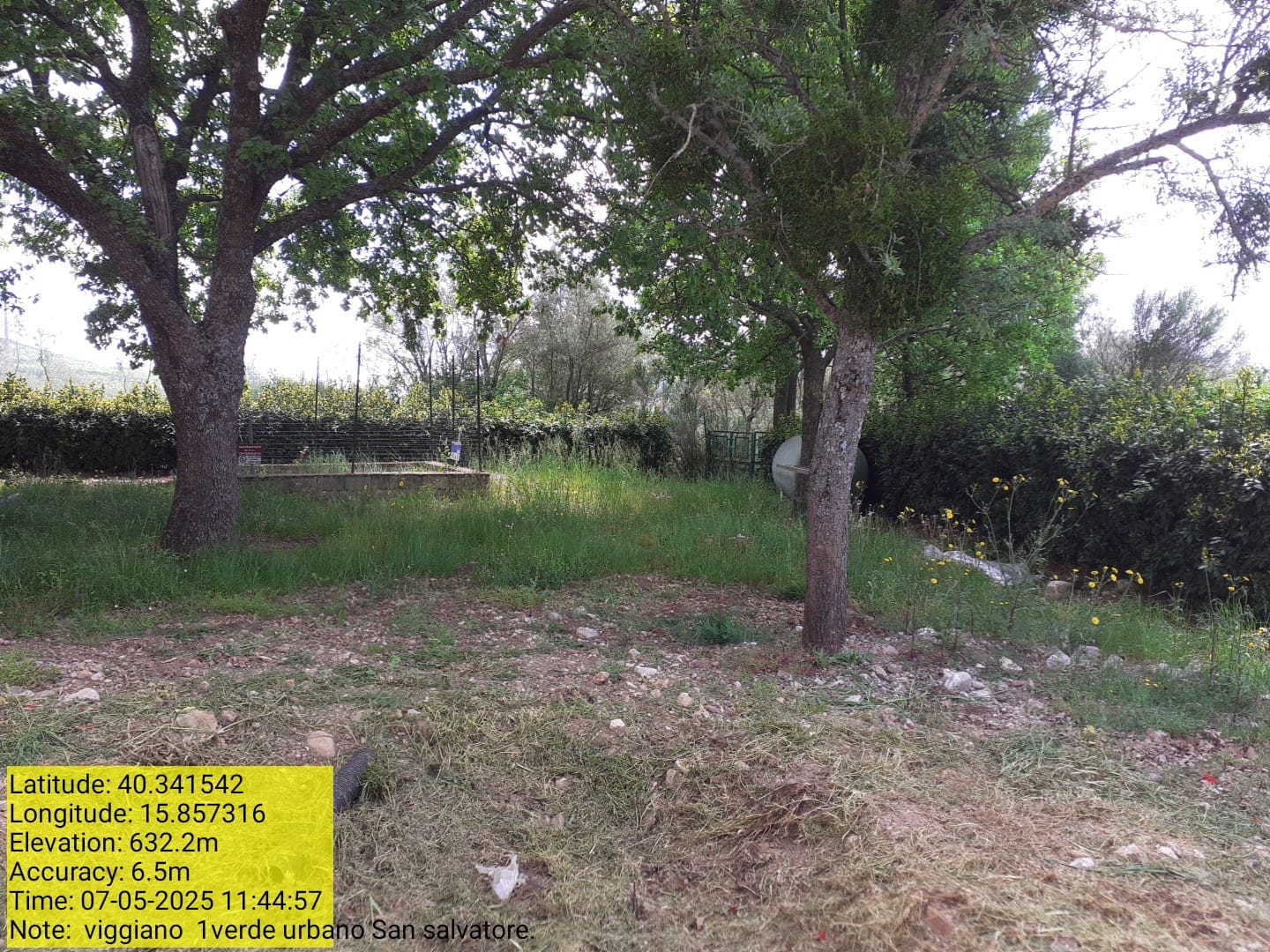 Galleria Fotografica Immagine