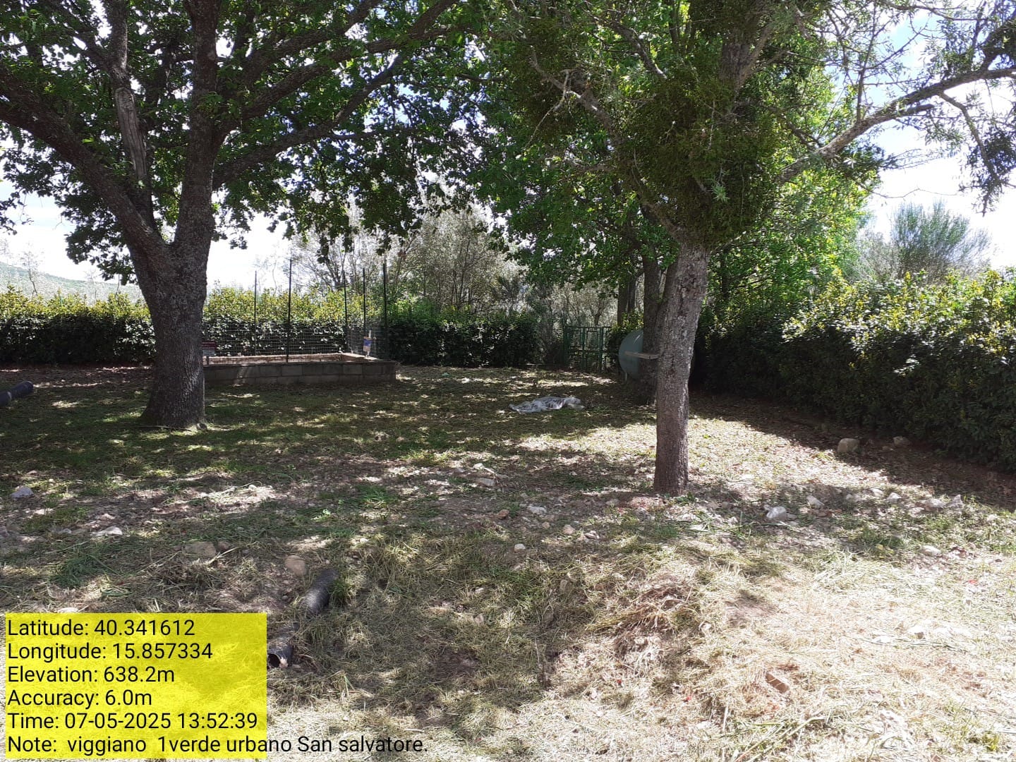 Galleria Fotografica Immagine