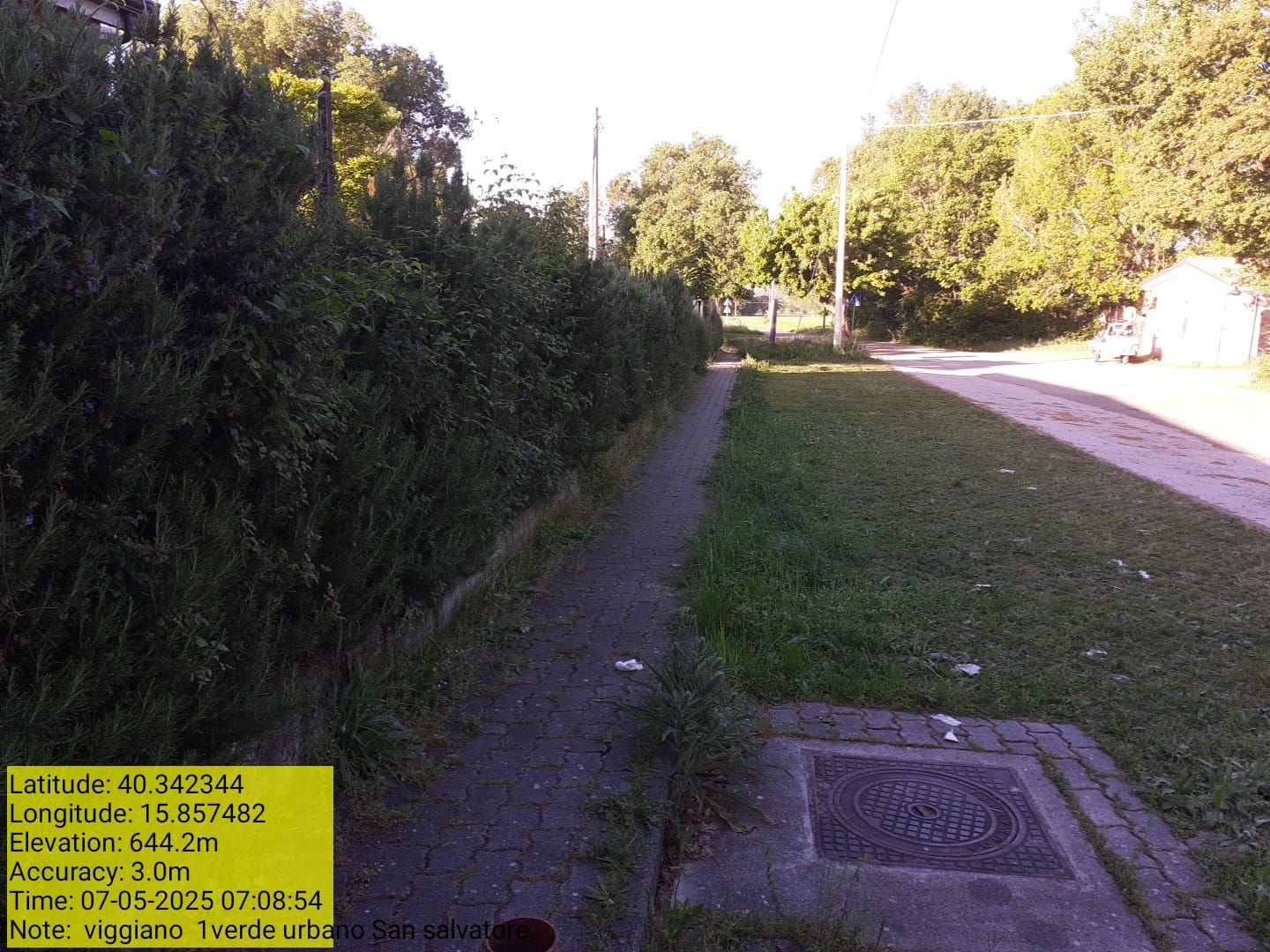 Galleria Fotografica Immagine