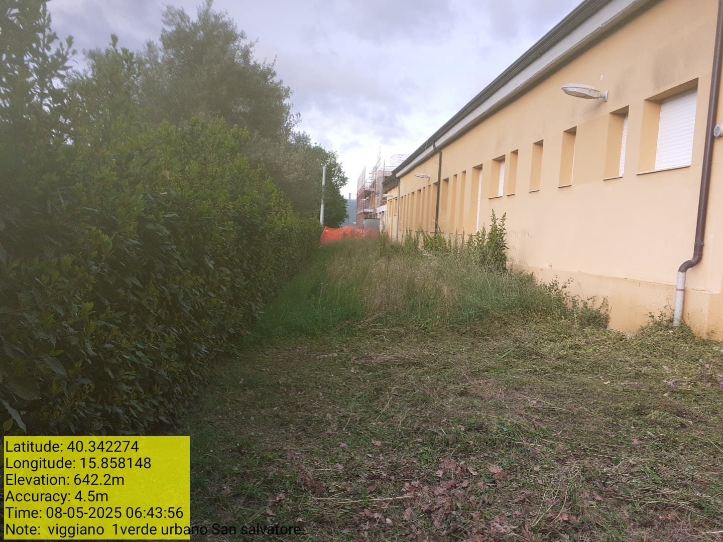 Galleria Fotografica Immagine