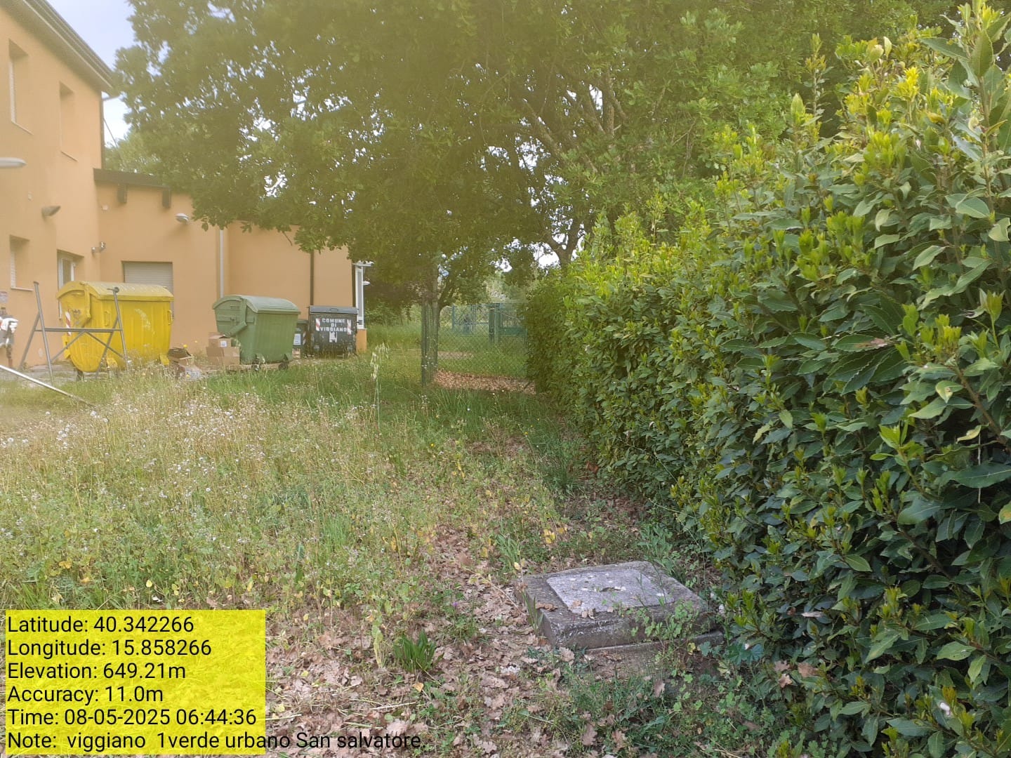 Galleria Fotografica Immagine