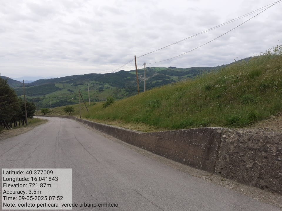 Galleria Fotografica Immagine