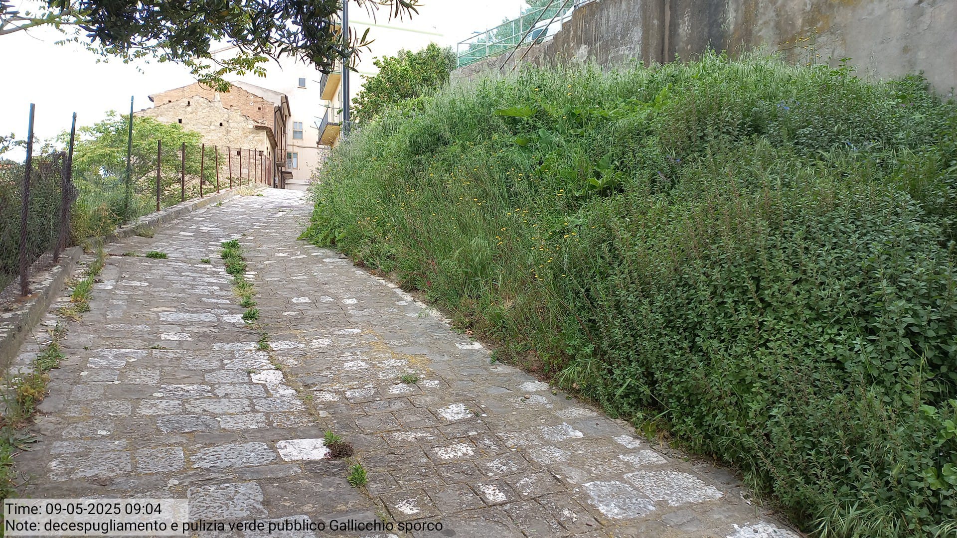 Galleria Fotografica Immagine