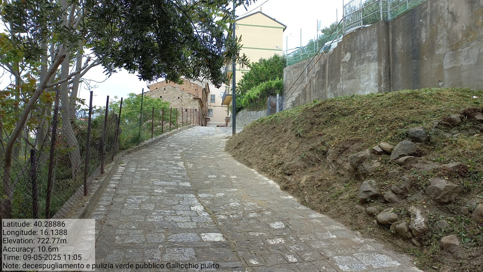 Galleria Fotografica Immagine