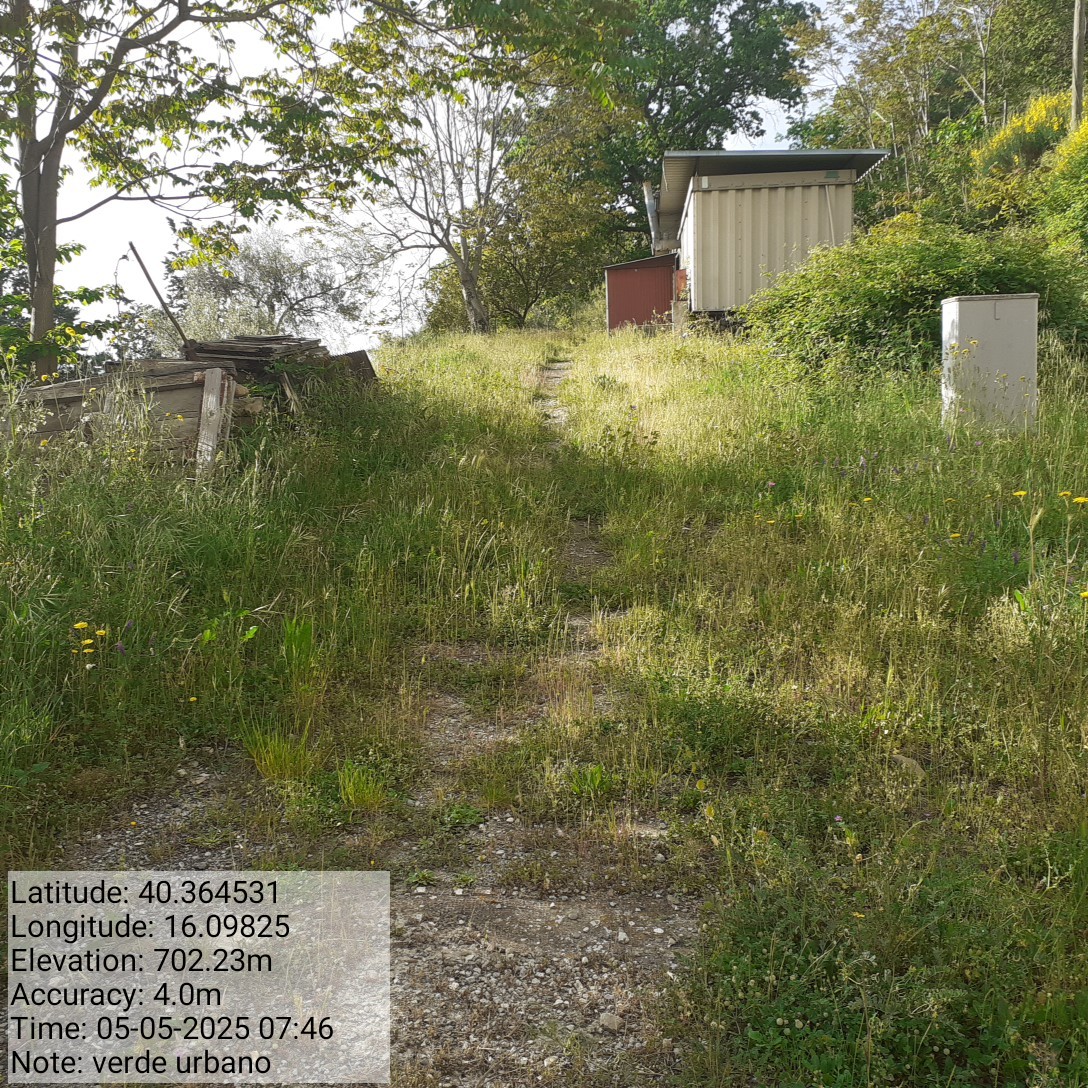 Galleria Fotografica Immagine