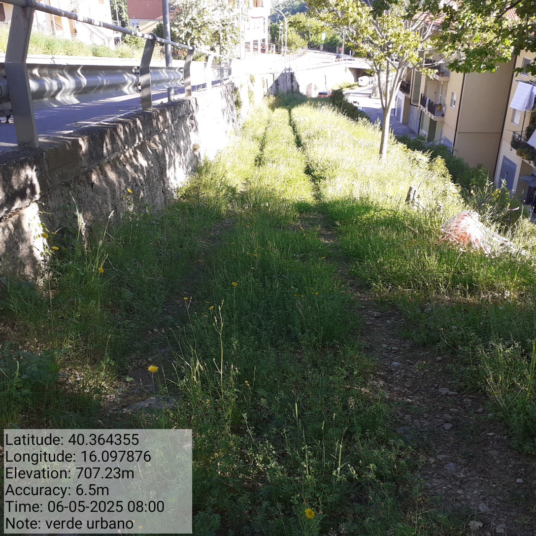 Galleria Fotografica Immagine