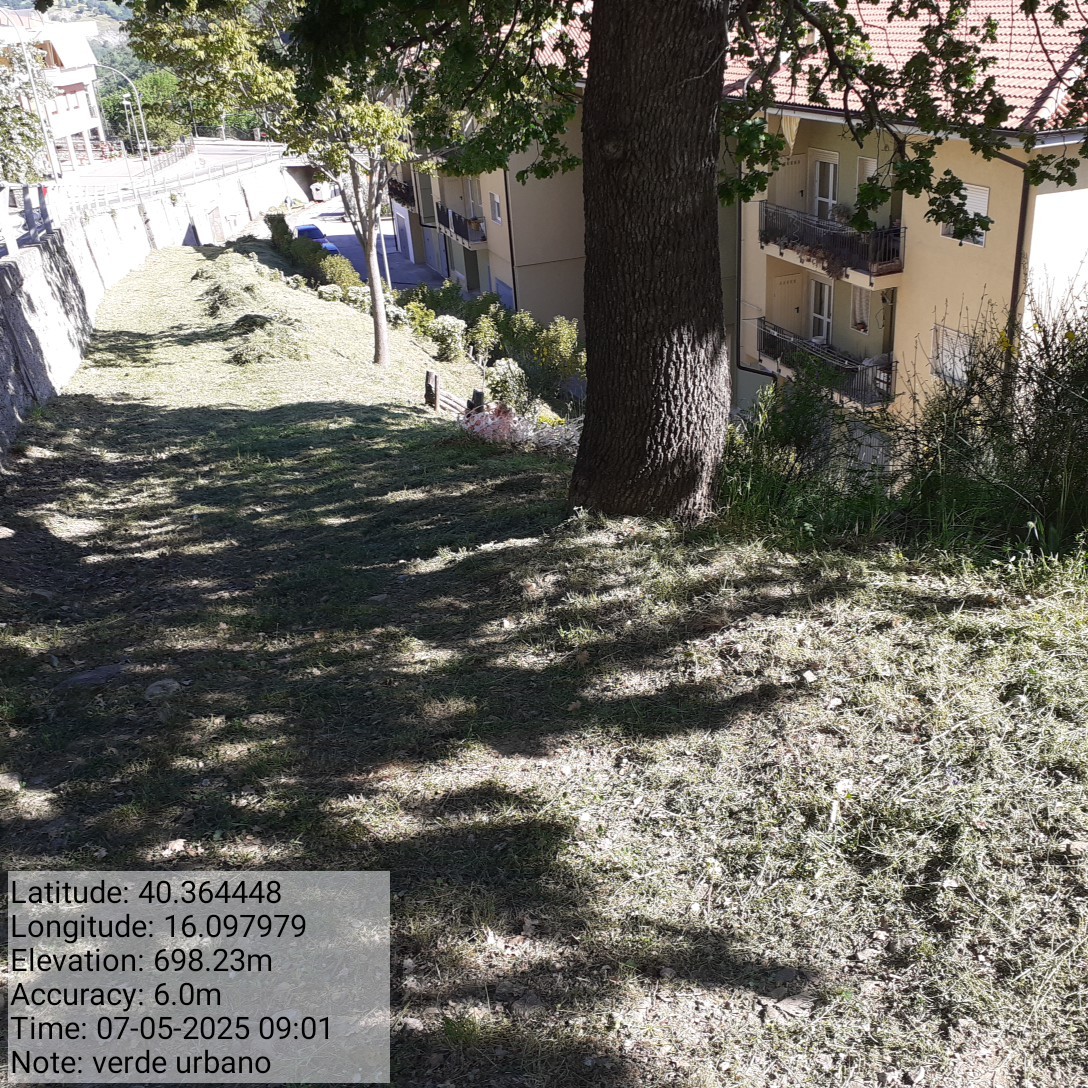 Galleria Fotografica Immagine