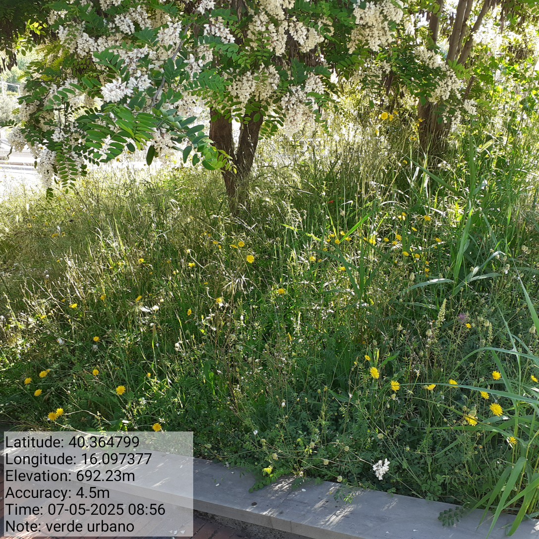 Galleria Fotografica Immagine